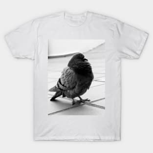 City bird T-Shirt